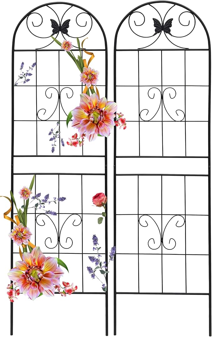 2 Pack Garden Trellises with Black Metal Coating, Trellis for Climbing Plants Outdoor, Roses, Vegetables, Vines, Cucumbers-19.7×71 inches.