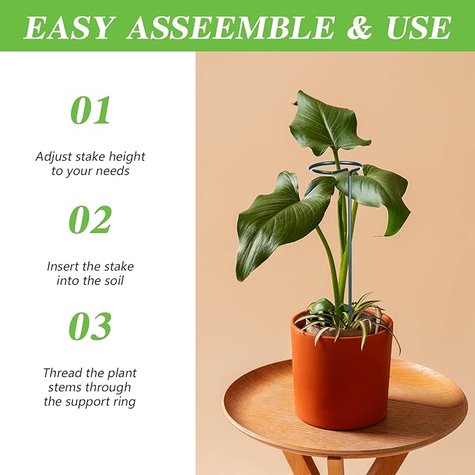 4 Set 36 Inch Plant Stakes Tall, Plant Support Stakes for Indoor or Outdoor, Flower Stake and Supports Three Sizes(12 or 24 or 36 Inch) for Flowers Tomato Amaryllis Lily Peony Rose