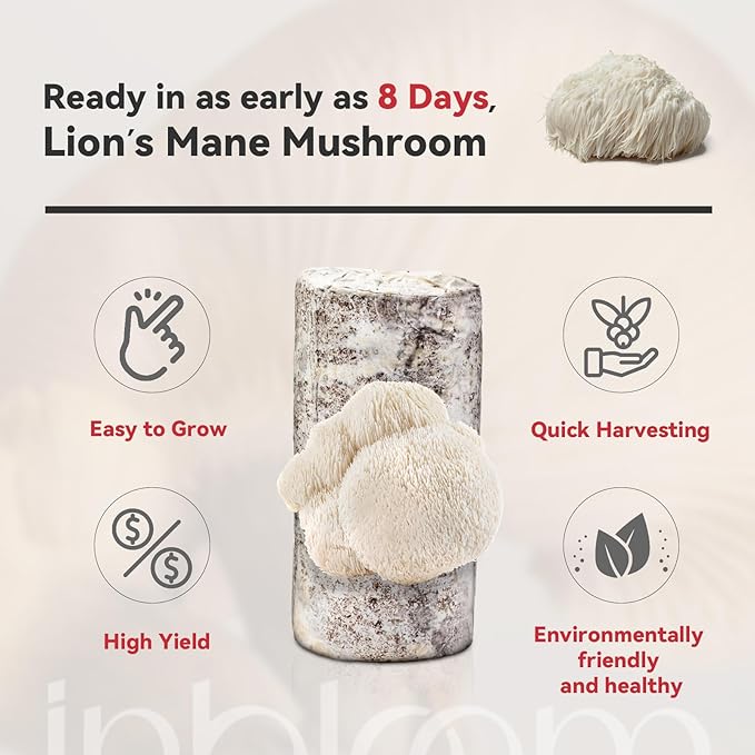 inbloom Double-Side Organic Lion's Mane Mushroom Growing Kit, Non-GMO White Indoor Mushroom Grow Kit (4 lbs), Easy to Use Plump Mushroom Kit Gift for Birthday, USA