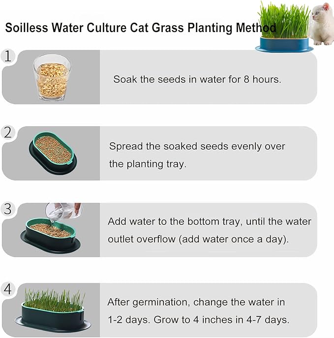 2Pcs Cat Grass Planter (No Seeds Included) Wheatgrass Planting Trays Hydroponic Cat Grass Growing Kits for Indoor Cats Soilless Organic Nursery Box Pet Grass Pot (B)