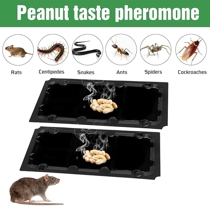 20 Pack Sticky Mouse Trap Rat Traps Indoor, Peanut Taste Pheromone Mouse Traps Indoor for Home, Glue Sticky Traps for Mice and Rats, Snake(Large Size)