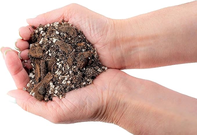 Premium Banana Tree Soil Mix by Gardenera - Perfect Balance of Organic Matter, Minerals, and Moisture Retention - Unleash The Full Potential of Your Banana Trees (5 Quart)