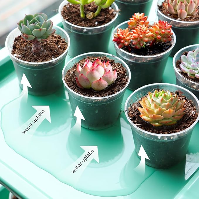 Seed Starter Tray Unit, 5-Tier Plant Stand with 4 LED Grow Lights & 90 Pack 2.5 Inch Clear Nursery Pots – for Indoor Gardening, Herb, Seedling Kits & Small Greenery