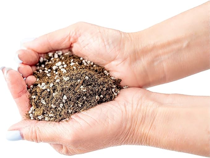 Premium Organic Potting Soil, Succulent & Cactus Soil Mix, Fast Draining Pre-Mixed Blend - Horticultural Perlite (25%) + Peat Moss (75%) - Made in USA - 1 Quart