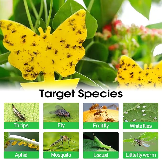 58 Pcs Flying Insect Traps for Plants,Indoors, Outdoors, Kitchen, Office, Yellow Sticky Traps for Fungus Gnat, Fly and Flying Insects, Non-Toxic & Odorless, Kid & Pet Safe, Economic Pack