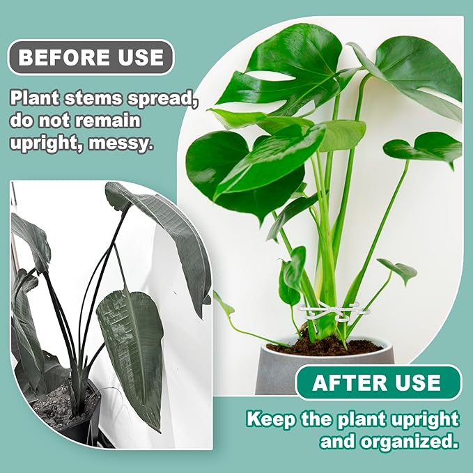 8PCS Plant Stem Support, 4 Sizes Climbing Houseplant Stem Holders, Plastic Reusable Flower Trellis Stem Hook Plant Care Growth Accessories for Flower Plants Indoor Outdoor - Clear