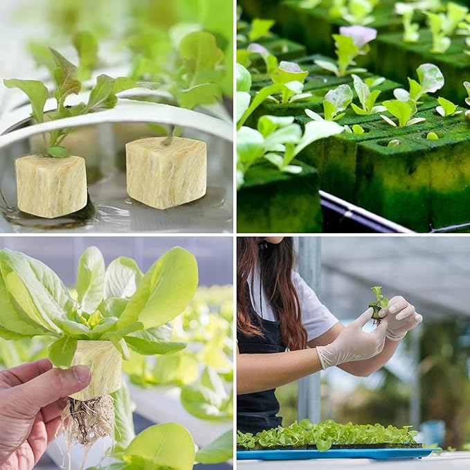 Legigo 1.5 Inch Rockwool Cubes for Hydroponics Seed Starter, Rock Wool Planting Cubes Hydroponic Garden Grow Plugs for Soilless Cultivation Plants Cutting Germination Clone(4 Sheet, 196 Plugs)