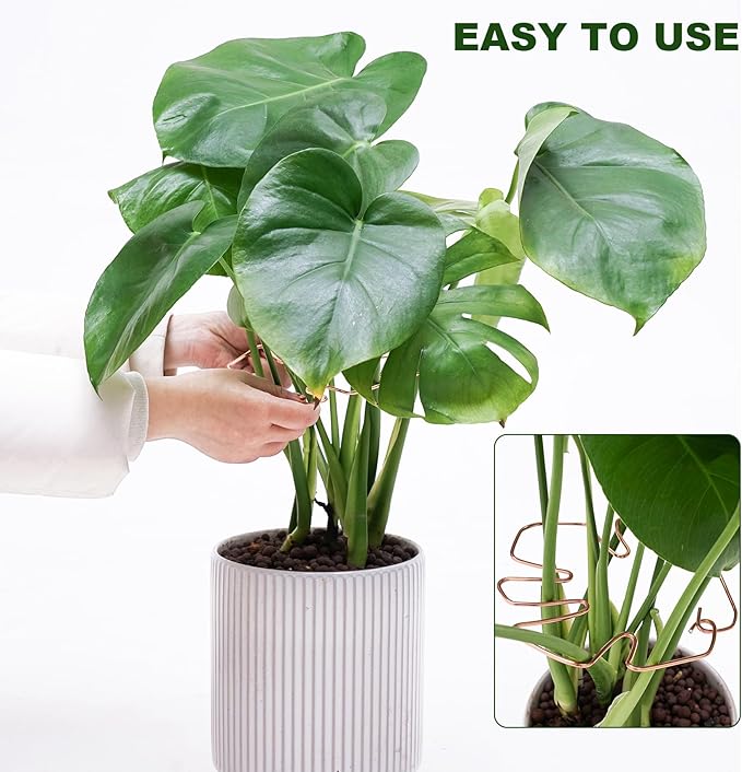 6PCS Monstera Plant Stem Support, Monstera Stabilizer Grapple Holder Unique Design for Turtle Shell Bamboo Clamp Set, Ideal Plant Support Stakes for Thriving Growth Indoor Climbing Plant (Copper)