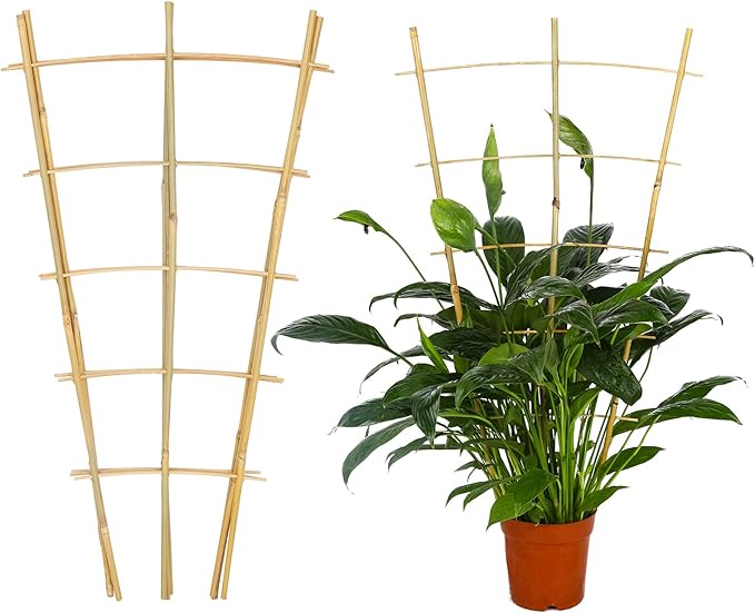 Bamboo Garden Trellis - 24 Inches Tall, 3 Pack - Perfect for Climbing Plants, Vegetables, and Pots - Enhance Your Garden with Natural Bamboo ，2Ft Plant Trellis Indoor