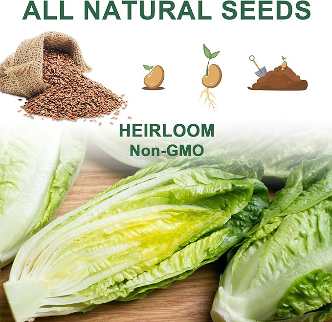 Salad Greens Seed Pod Kit with Lettuce and Tomato, Red and Green Leaf, Butter Head, Spinach for Hydroponic Pods, Grow Anything for Hydroponics Growing System Kit, Plant Food and Growing Guide 8-Pod