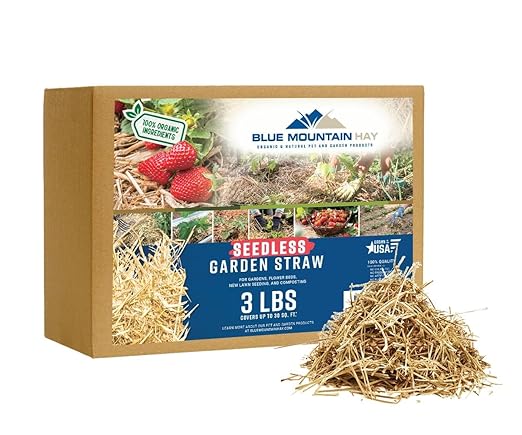 Blue Mountain Hay | Organic Seedless Garden Straw (3 lb) | Natural Mulch for Gardening, Flower Beds, Yard Landscaping, New Lawn Grass Seeding, Composting | Covers up to 30 sq ft