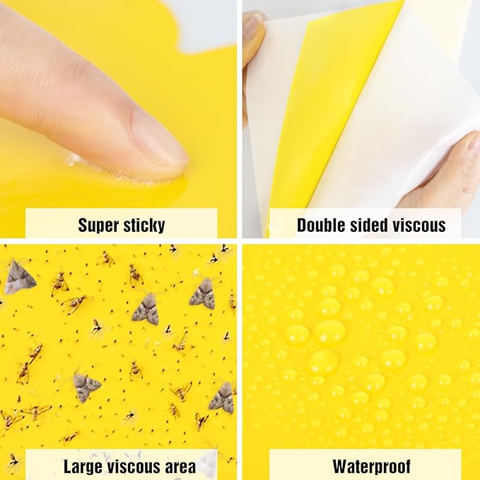 Dwcom 60 Pack Yellow Sticky Traps for Gnats Fruit Fly Traps for Indoors, Fungus Gnat Traps for House Indoor Fly Paper Indoor for Gnats Killer Indoor Trap