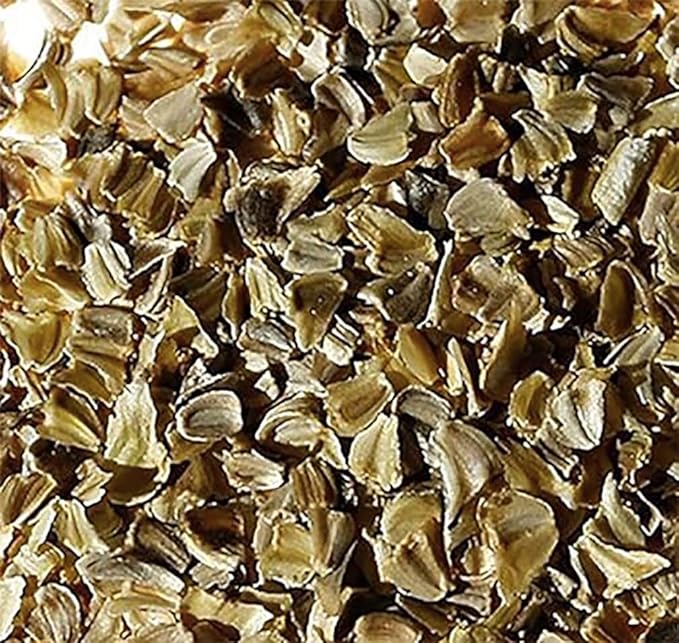 1000 Rainbow Painted Daisy Seeds - Wonderful Cut Flower