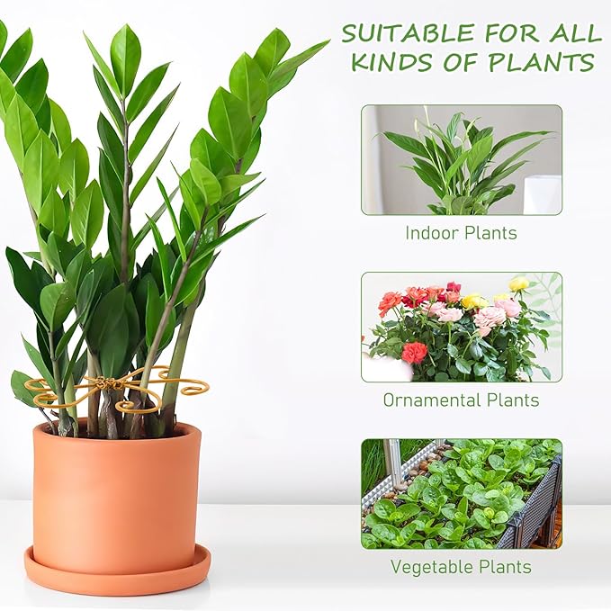 4-Pack Plant Stem Support, Plant Stabilizer for Indoor Plants, Monstera Plant Support System, Plant Stem Holder for Fixing Green Plants and Vines (A+B)