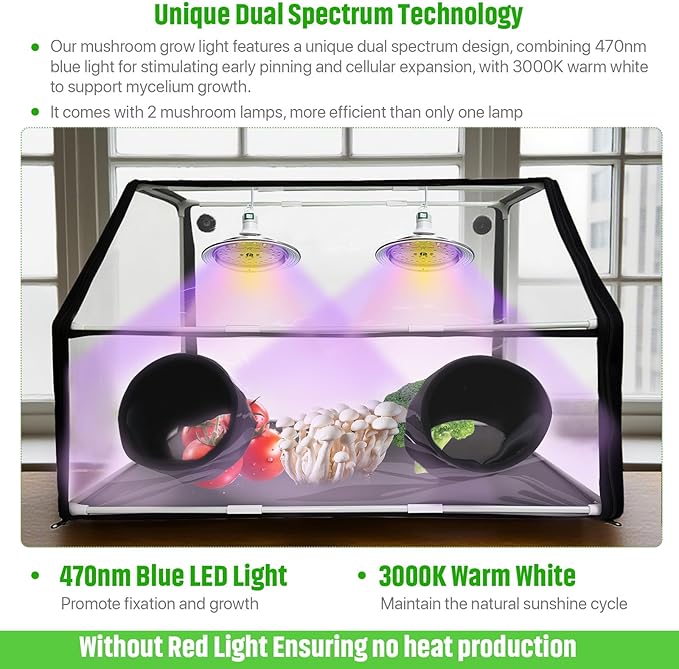 Large Still Air Box Mushroom Grow Set, 30×20×20 Inch Mycology Fume Hood Propagation Tent with Two Mushroom Lights, Provide 360°lllumination, Durable& Easy to Install, Ideal for Indoor Growers