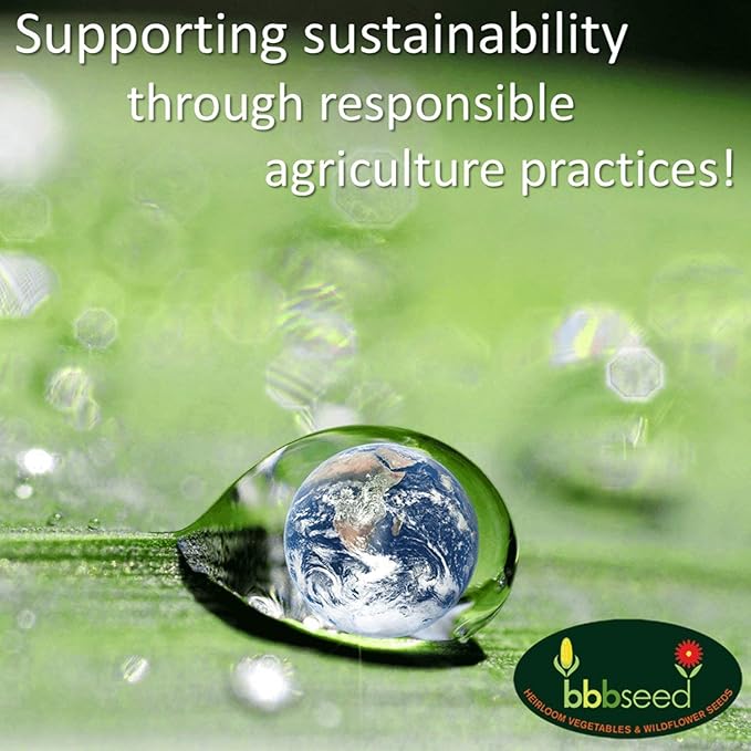 Hummingbird Nectar Wildflower Seeds - 1oz, Open-Pollinated Flower Seed Mix Packet, Non-GMO, No Fillers, Annual, Perennial Wildflower Seeds Year Round Planting - 1 oz