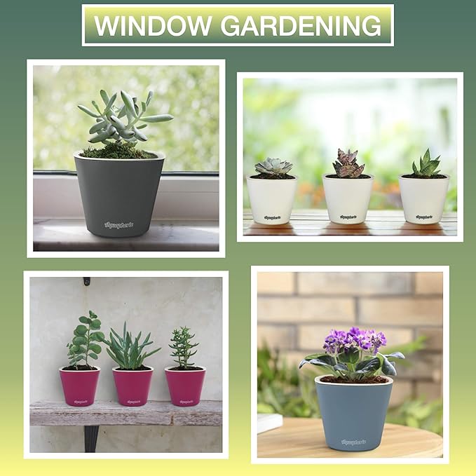 Window Garden – Aquaphoric Self Watering Mini Planter Pots (3 Pack) – Grow On Indoor Sill. Perfect for Potting Small Plants, Herbs, African Violets, Succulents, or Start Seedlings.