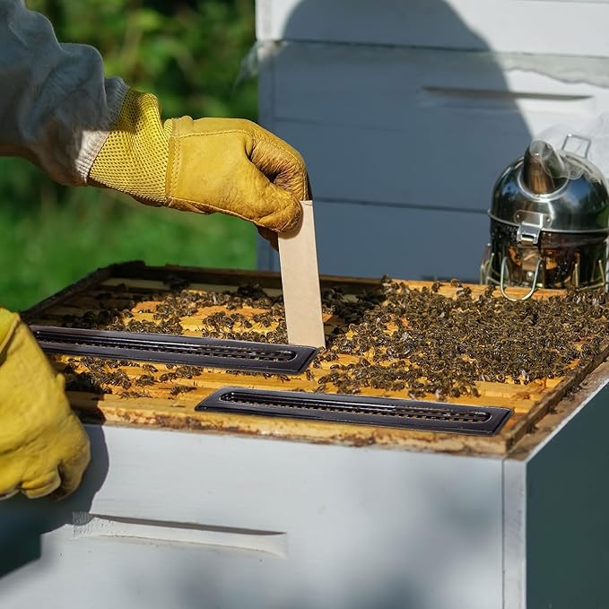 Qualirey 100 Pcs Plastic Beehive Beekeeping Tools Set Hive Trap Beetle Blaster Kit for Hive Beetle Beekeeping Supplies Control Beetles (Black)