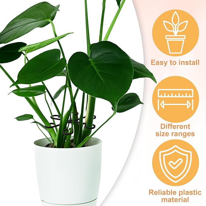 8PCS Plant Stem Support, 4 Sizes Climbing Houseplant Stem Holders, Plastic Reusable Flower Trellis Stem Hook Plant Care Growth Accessories for Flower Plants Indoor Outdoor - Black, Clear