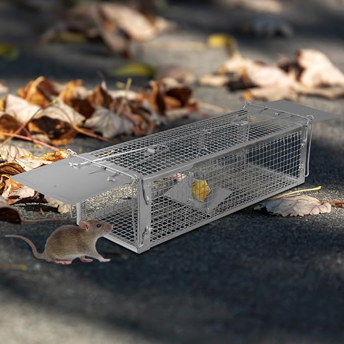 Humane Rat Trap, Dual Door Metal Mouse Cage Traps and Other Small Live Animals Cage, Mouse Trap with 2 Detachable U Shaped Rod, Easy to Catch and Release, Work for Indoor Outdoor