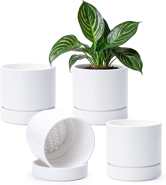 Phoenix Vine 6 Inch Planter Pot with Drainage Hole & Saucer, Deep Water Catch Tray, Straight Cylindrical Round Pot for Plants, Matte White, Pack of 4, 23-B-S-4