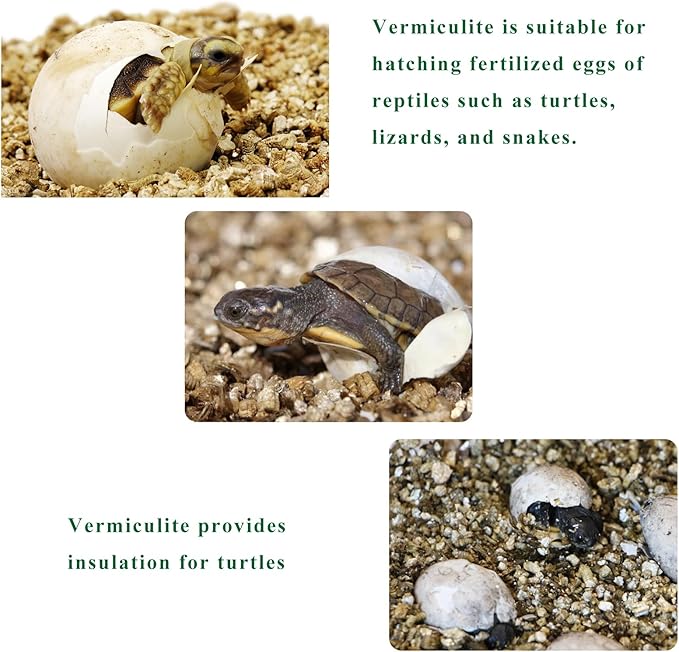 10QT Organic Vermiculite for Plants, Horticultural Soil for Potted Plants, Coarse Hydroponic for Succulent Orchid Gardening Reptiles