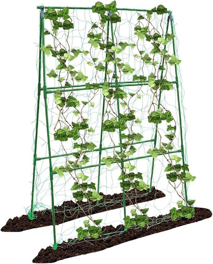 Compact A-Frame Plant Trellis for Peas, Beans & Small Climbing Plants - Rust-Resistant, Easy to Assemble, Lightweight Steel, Ideal for Raised Beds & Container Gardens(31" W x 47" H)