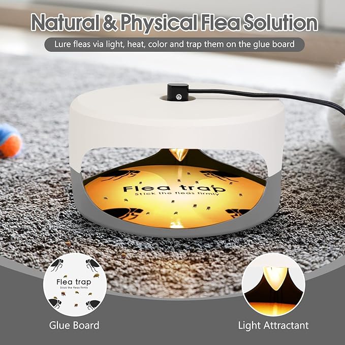 Flea Traps for Inside Your Home, 4 Pack Indoor Flea Light with 12 Sticky Pads Refills & 12 Bulbs Replacement, Odorless Bed Bug Killer Lamp Insect Infestation Treatment Glue Trap for Kids Pet