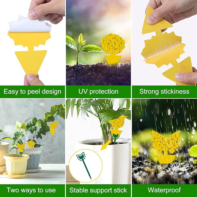 54 Pack Fruit Fly Trap for Indoor, Gnat Traps for House Indoor, Fungus Gnat Killer Sticky Traps for Plants, Mosquitoes, Flying Insects