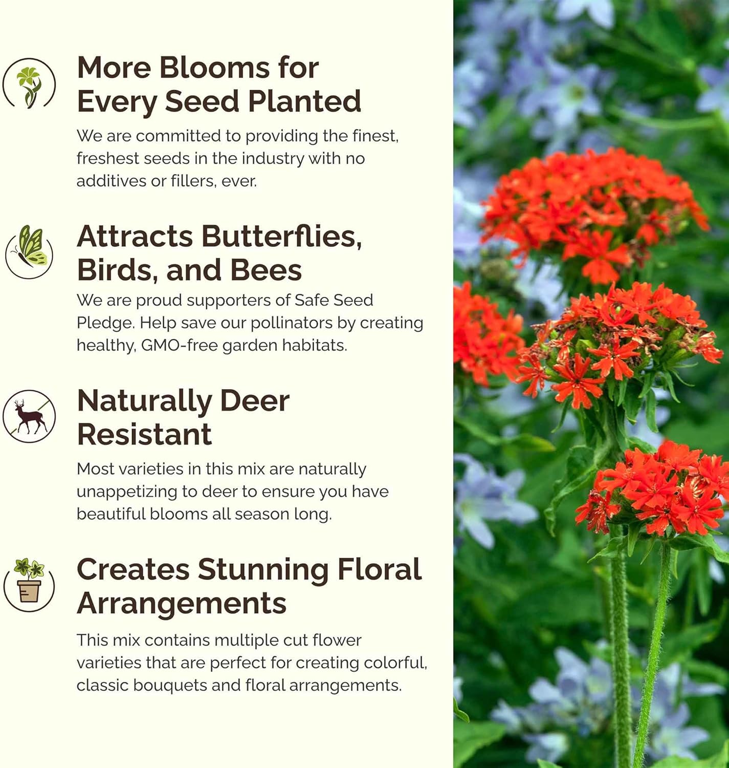 Eden Brothers Red Head Wildflower Mixed Seeds for Planting, 5 lb, 2,400,000+ Seeds with Maltese Cross, Scarlet Flax | Attracts Pollinators, Plant in Spring or Fall, Zones 3, 4, 5, 6, 7, 8, 9, 10
