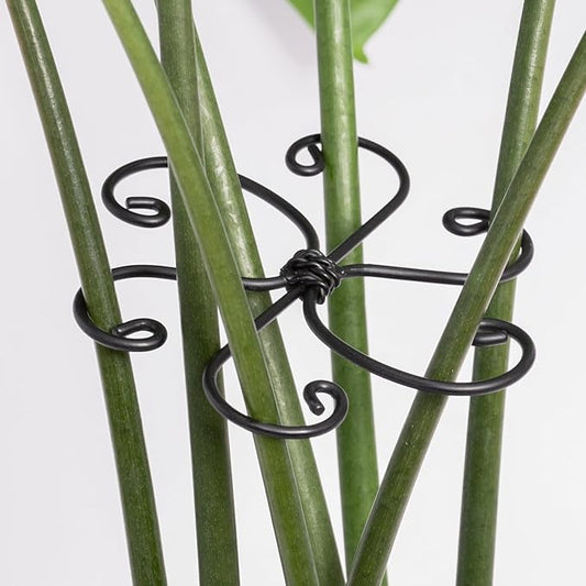 Monstera Plant Support Hook - 4.1x4.1IN 5PCS, Durable Adjustable Stem Support System, Gentle Protection for Monstera and Fishbone Cactus, Professional Indoor Plant Stabilizer