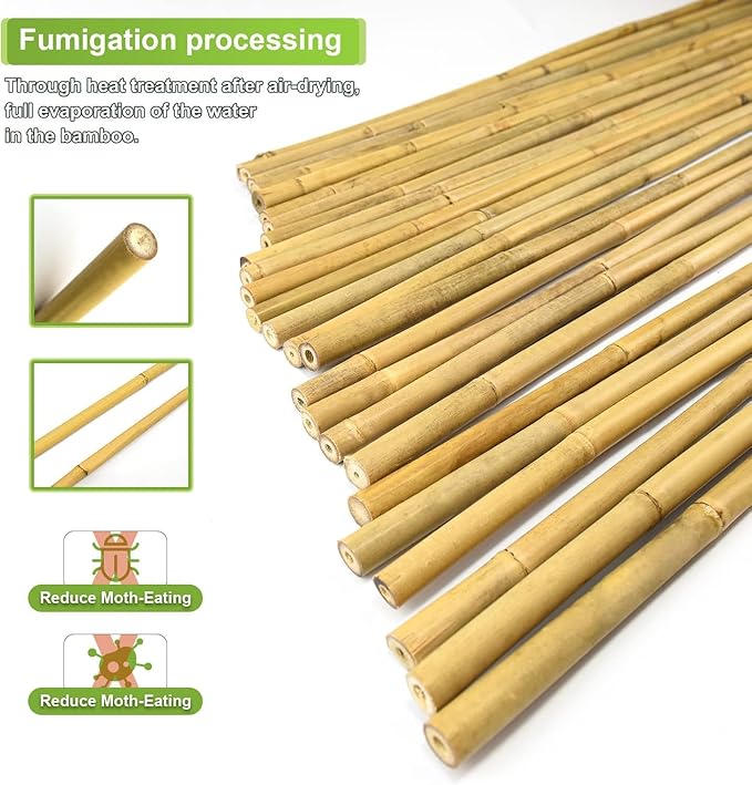 30pcs 3/10" D Thicker Heavy Duty Bamboo Stakes, 2FT Plant Stakes, Natural Garden Stakes for Tomato, Bean, Flowers,Trees Potted and Climbing Plant Support