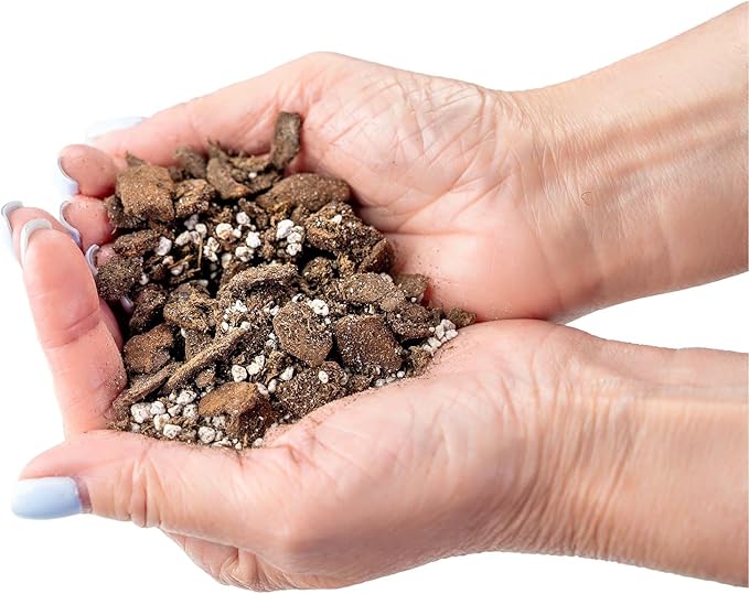 Professional Succulent Soil Premium All Purpose Blend | Pre-Mixed Ready to Use for Cactus and Succulents | Sphagnum Peat Moss, Perlite, New Zealand Pine Bark - Made in USA - 2 Quart