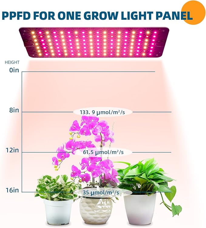 Barrina Grow Lights for Indoor Plants, 20W (2 x 10W) Full Spectrum Ultra-Thin Grow Light Panel with 3/6/12H Auto On/Off Timer for Hydroponics, Seedlings, Succulents, Veg, Flowers & More, 2-Pack
