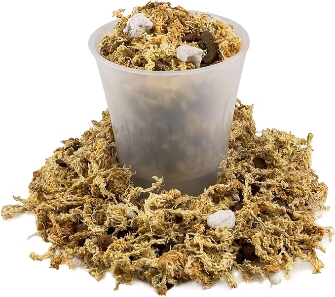 Premium Pothos Potting Soil Mix - Air Cleaning Plant Potting Mix, Soil Mix for Pothos, Parlor Palm, Peace Lily - (2 Quart Bag)