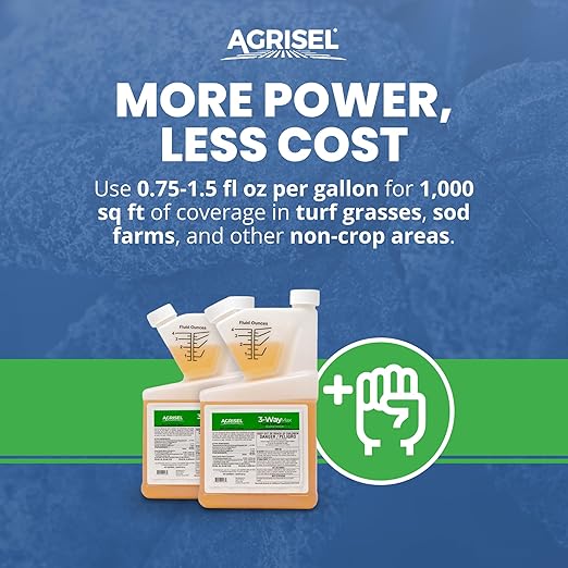 3 Way Max Weed Killer, Eliminate 50+ Weeds, Safe on Grass, Weed Spray, Pet Safe, Low Odor, Easy Mixing, Includes 3-Pack of Agrisel Protective Gloves, 32 Ounces