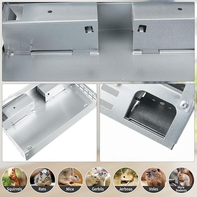 Qualirey 6 Pack Multi Catch Mice Trap Clear Top Humanized Mouse Trap Rodent for Indoor Outdoor Rat Control Pet and Security (Silver Color)