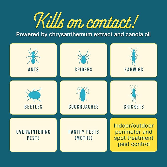 Sunday Bug Doom Home Insect Barrier Spray - Indoor Insect Spray with Botanically Derived Pyrethrin - Kills Ants, Spiders, Cockroaches & More - 16 Fl Oz