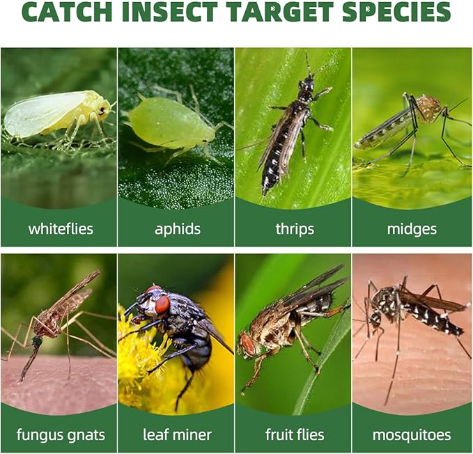 58 Pcs Ice Cream Shaped Gnat Traps, Novel Design for Easy and Conveinent Use, Yellow Sticky Traps for Fungus Gnat, Fruit Fly & Flying Insect, Ideal for Plants & Kitchens, Super Sticky, Kid & Pet Safe