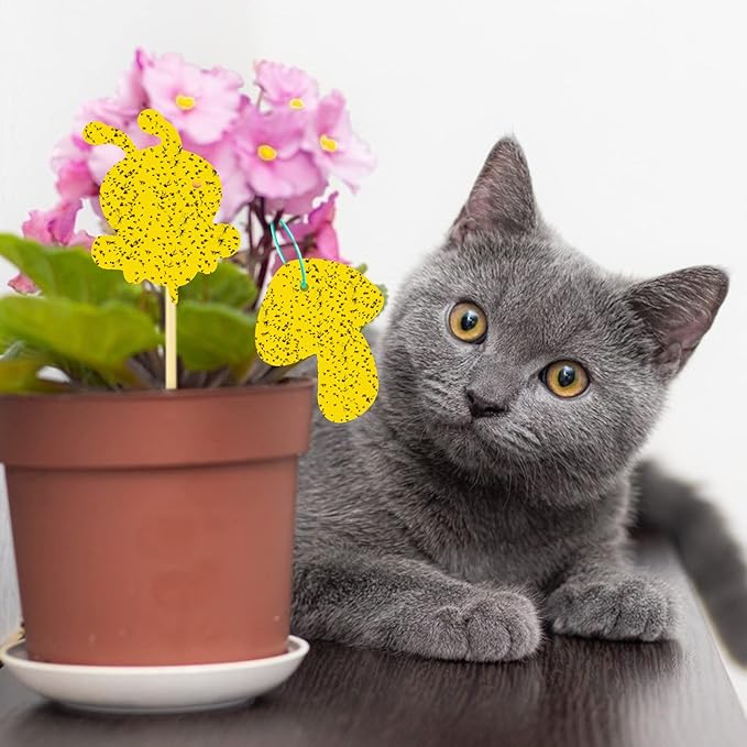 60 Pack Yellow Sticky Traps Fungus Gnat Sticky Traps, Gnat Traps for House Indoor Gnat Killer Indoor, House Plant Gnats Bugs Sticky Killer Fruit Fly Traps for Indoor