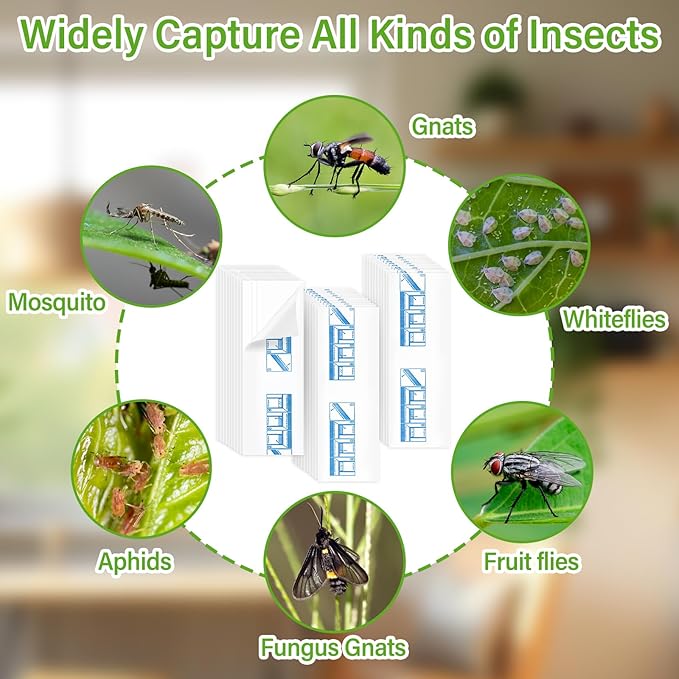 60 Pack Window Fly Traps, Window Sticky Traps, Sticky Non-Toxic Clear Fly Paper Indoor for Home