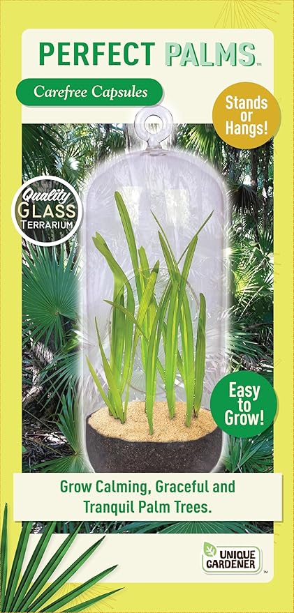 Perfect Palms Terrarium Grow Starter Kit - Over 10 Kinds of Seeds for Planting - Fun Easy Indoor Hanging Or Standing Glass Capsule Garden Starter Set with Complete Supplies