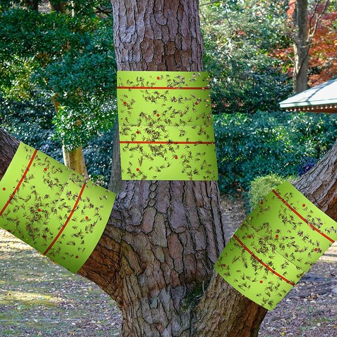 Qualirey 18 Rolls 540 ft Total Spotted Lantern Fly Tree Trap Insect Barrier Outdoor Adhesive Crawling Insect Trap Disposable Fly Paper Glue Traps to Protect Trees, Fruit and Plants for Lawn Garden