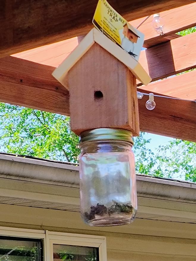 Amish Made Rustic Carpenter Bee Catching Device 2 Pack