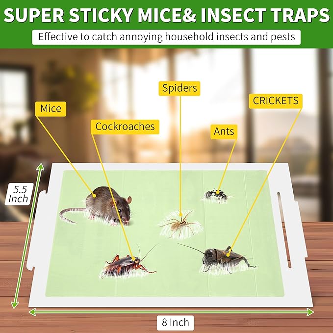 Qualirey 10 Pack Mice Traps, Green Super Sticky Mouse Traps for Mice and Rats, Peanut Butter, Pre-Scented and Non Toxic, Indoor Pet Safe Pest Control for Cockroaches, Spiders, Scorpions, 8 X 5.5 Inch