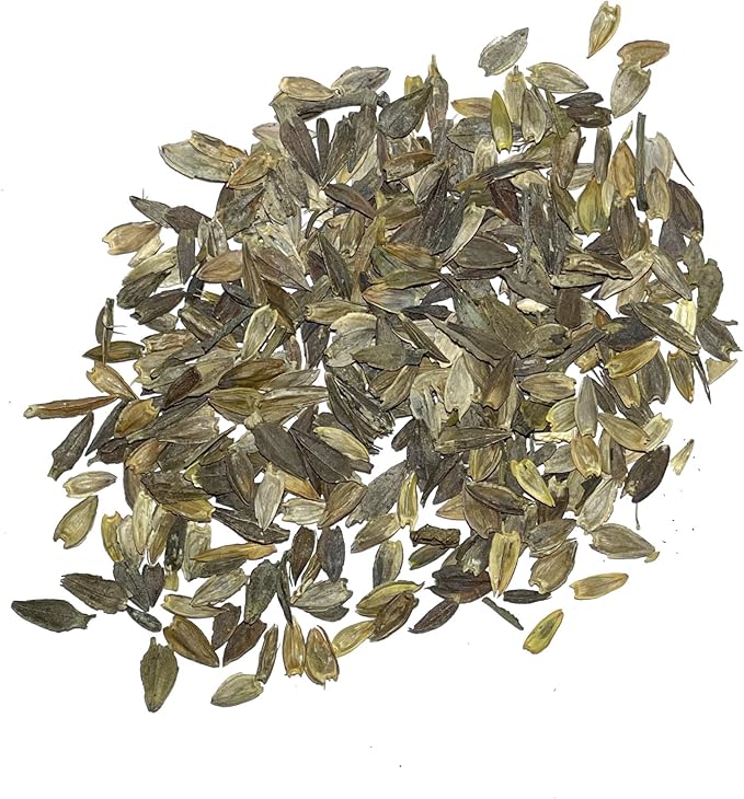 Seed Needs Zinnia Seeds for Planting California Giants Zinnias - Collection of 9 Individual Heirloom Seed Packets - Grow a Butterfly Garden to Attract Butterflies, Bees & Other Pollinators