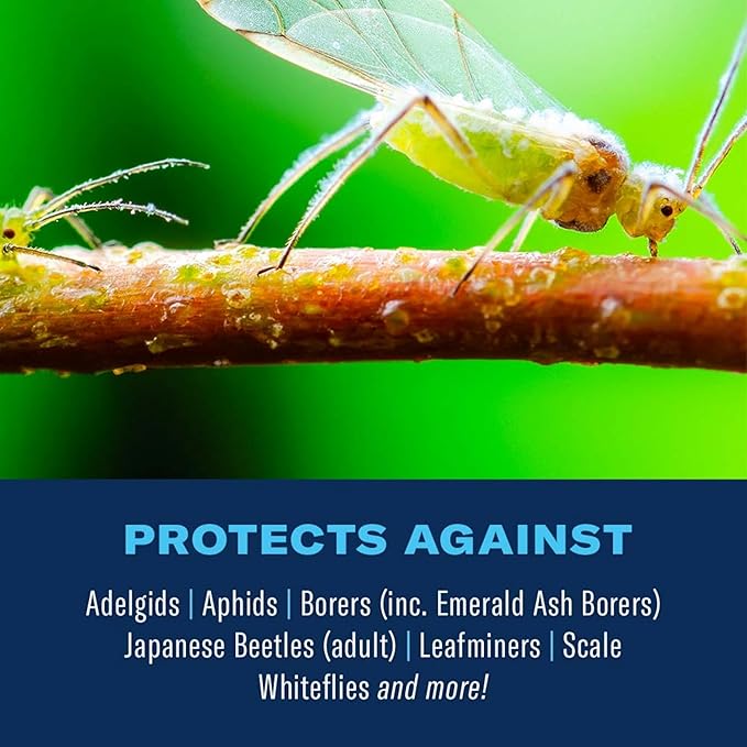 BIOADVANCED 12-Month Tree and Shrub Protect and Feed, Insect Killer and Fertilizer, 1-Gallon, Concentrate 701915A