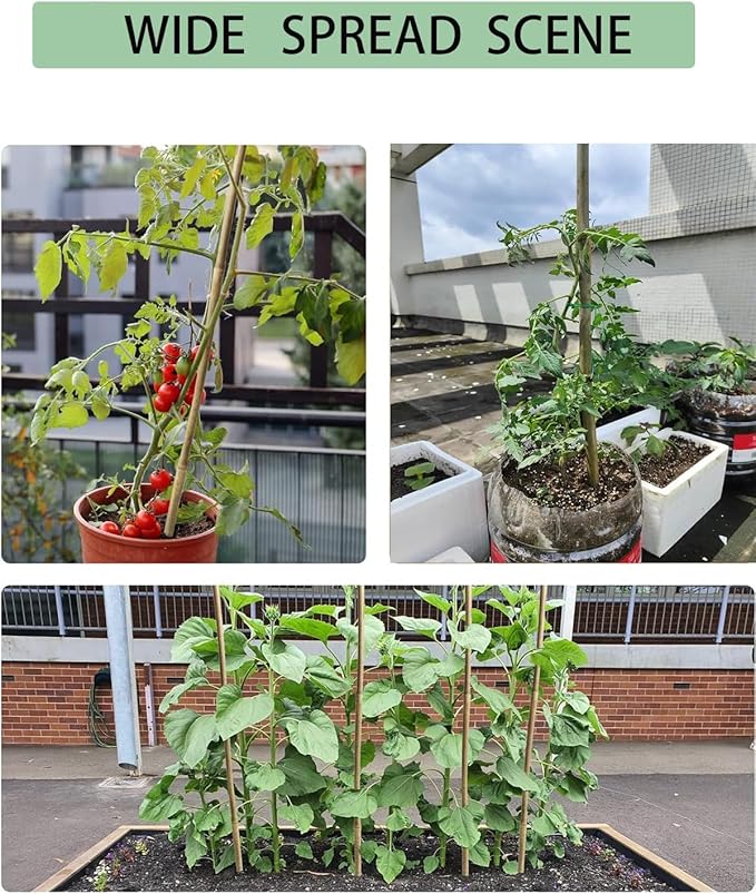 60 Pack 58 inch Bamboo Stakes for Plant with 200 Twist Ties Bamboo Sticks Plant Support Garden Stakes Poles for Tomatoes Cucumber Grapes Pole Beans Trees Potted Dahlia Flowers