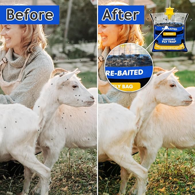 10 Fly Traps Hanging Outdoor, Natural Pre-Baited Fly Bag Outdoor Disposable, Fly Catcher, Killer, Hunter, Stable, Farm, Barn, Ranch, Fly Trap for Mosquitoes