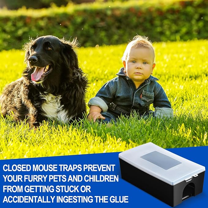 Qualirey 4pcs Mouse Glue Traps with 2pcs Protect Mouse Station, Non-Toxic, Keeps Pets & Children Safe, Glue Board Adhesive Plastic Tray for Snakes, Mice & Spiders, Pest Control for House & Garage